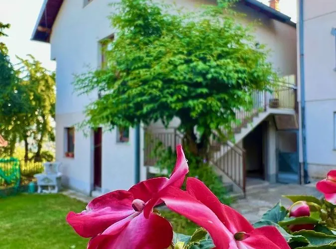 Apartman Amila